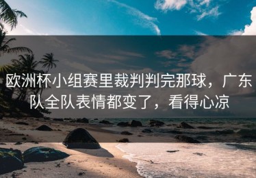 欧洲杯小组赛里裁判判完那球，广东队全队表情都变了，看得心凉