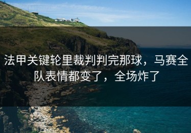 法甲关键轮里裁判判完那球，马赛全队表情都变了，全场炸了