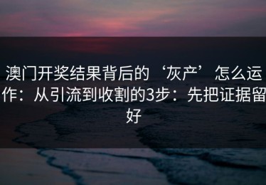 澳门开奖结果背后的‘灰产’怎么运作：从引流到收割的3步：先把证据留好