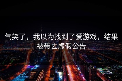 气笑了，我以为找到了爱游戏，结果被带去虚假公告