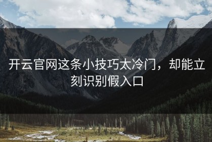 开云官网这条小技巧太冷门，却能立刻识别假入口