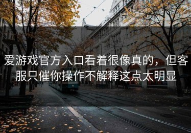 爱游戏官方入口看着很像真的，但客服只催你操作不解释这点太明显