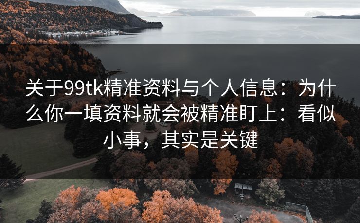 关于99tk精准资料与个人信息：为什么你一填资料就会被精准盯上：看似小事，其实是关键