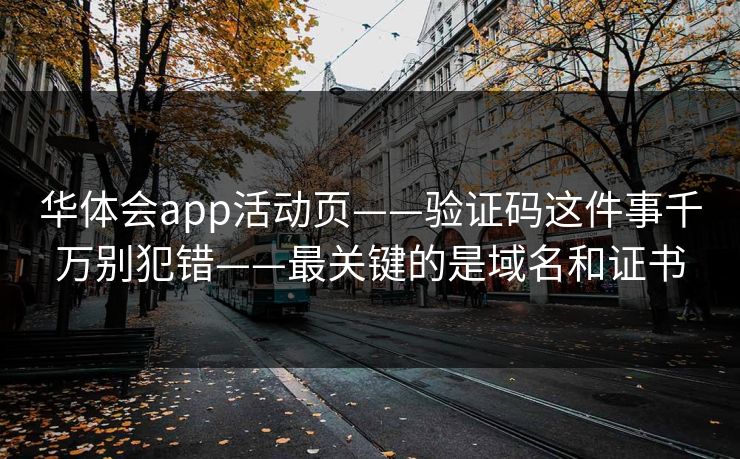 华体会app活动页——验证码这件事千万别犯错——最关键的是域名和证书