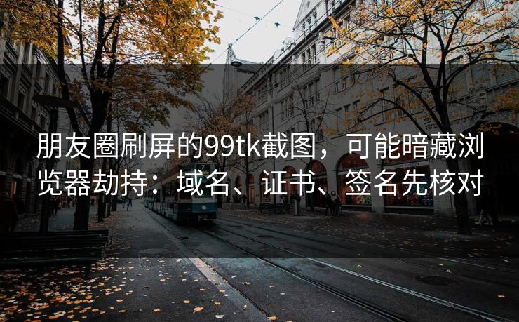 朋友圈刷屏的99tk截图，可能暗藏浏览器劫持：域名、证书、签名先核对